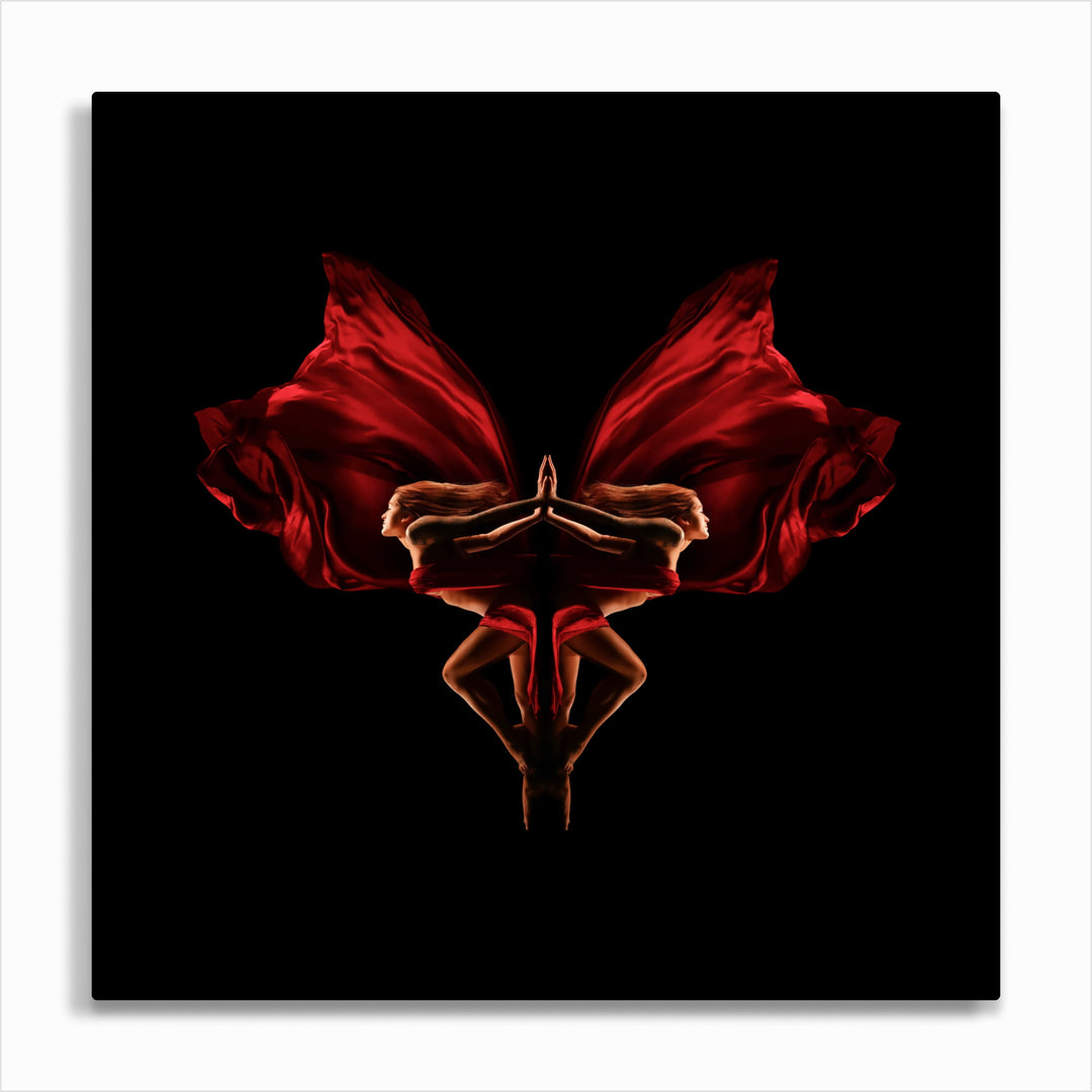 Impression Premium sur Aluminium